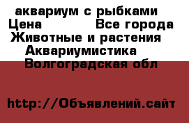 аквариум с рыбками › Цена ­ 1 000 - Все города Животные и растения » Аквариумистика   . Волгоградская обл.